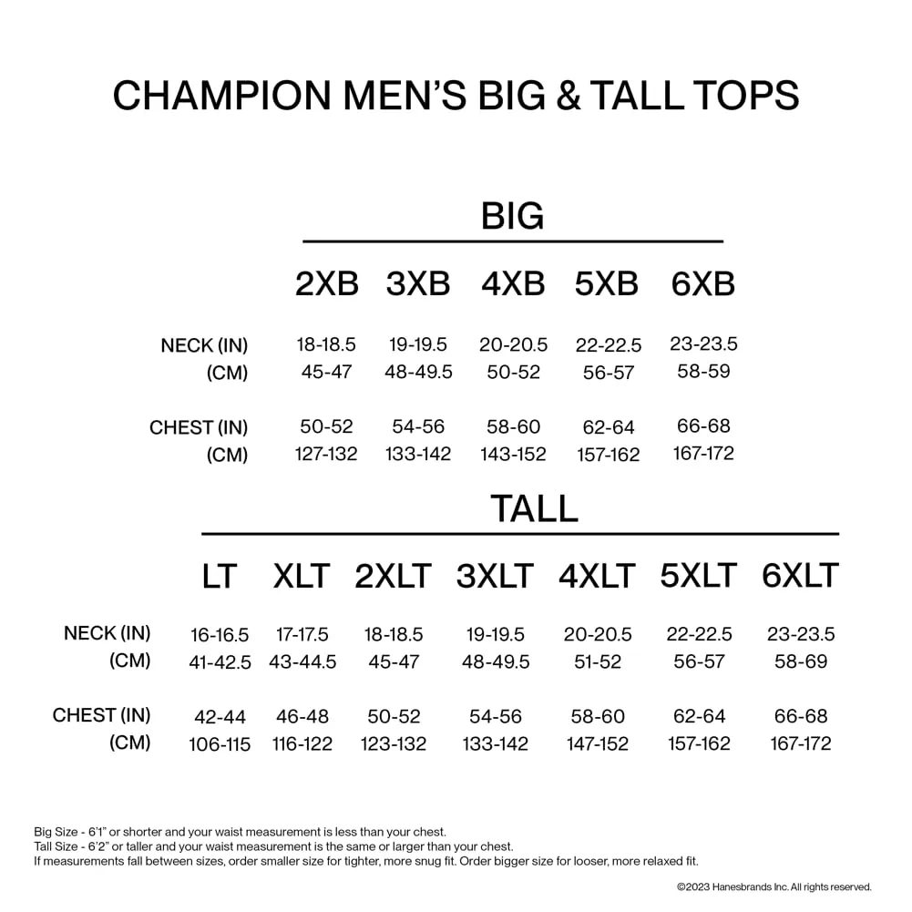 Champion Men's Fleece Hoodie, Comfortable Sweatshirt