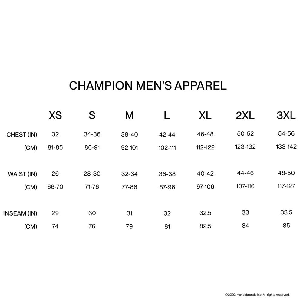 Champion Men's Fleece Hoodie, Comfortable Sweatshirt