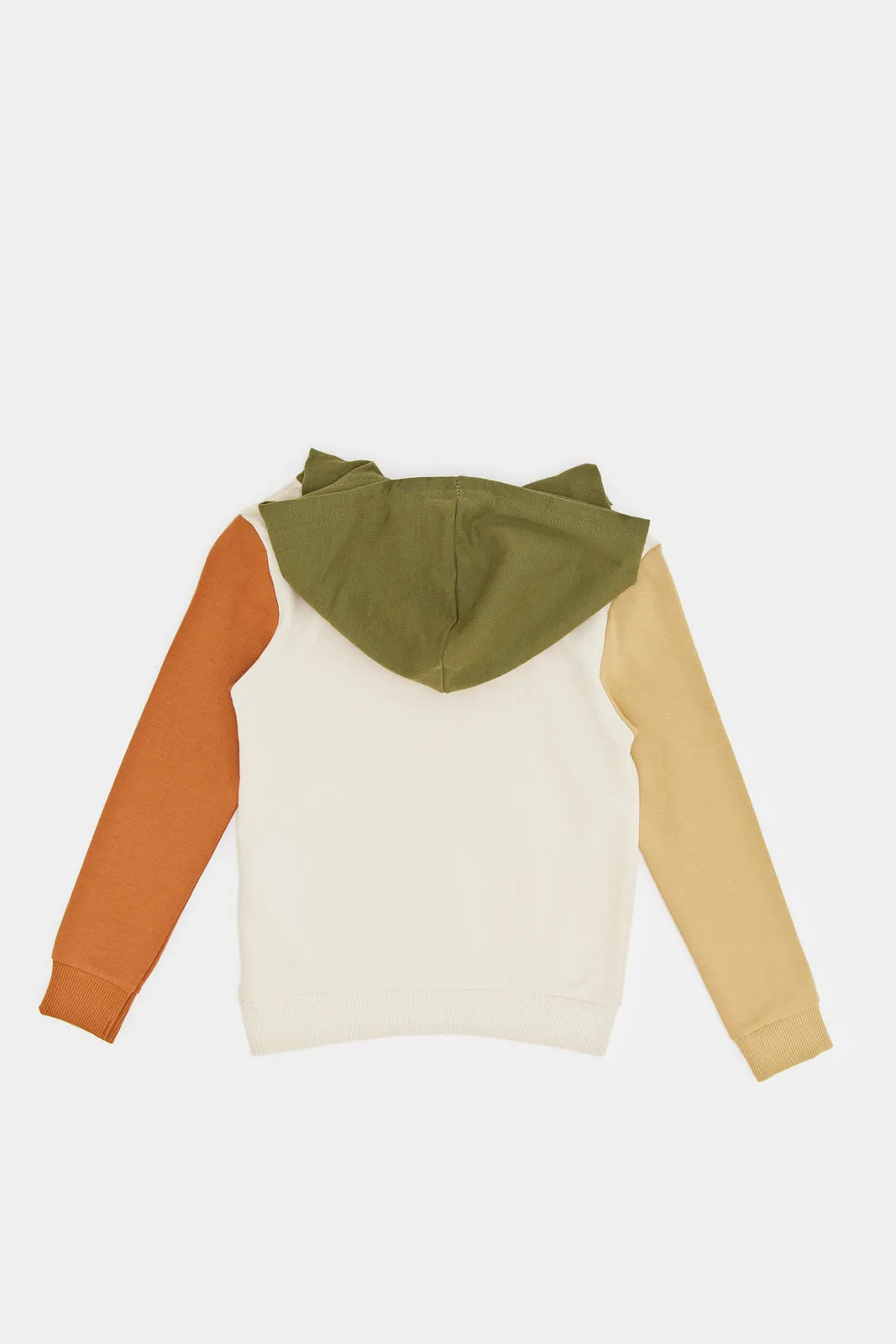 Infant Boys Assorted Cut And Sew Hoodie Sweatshirts