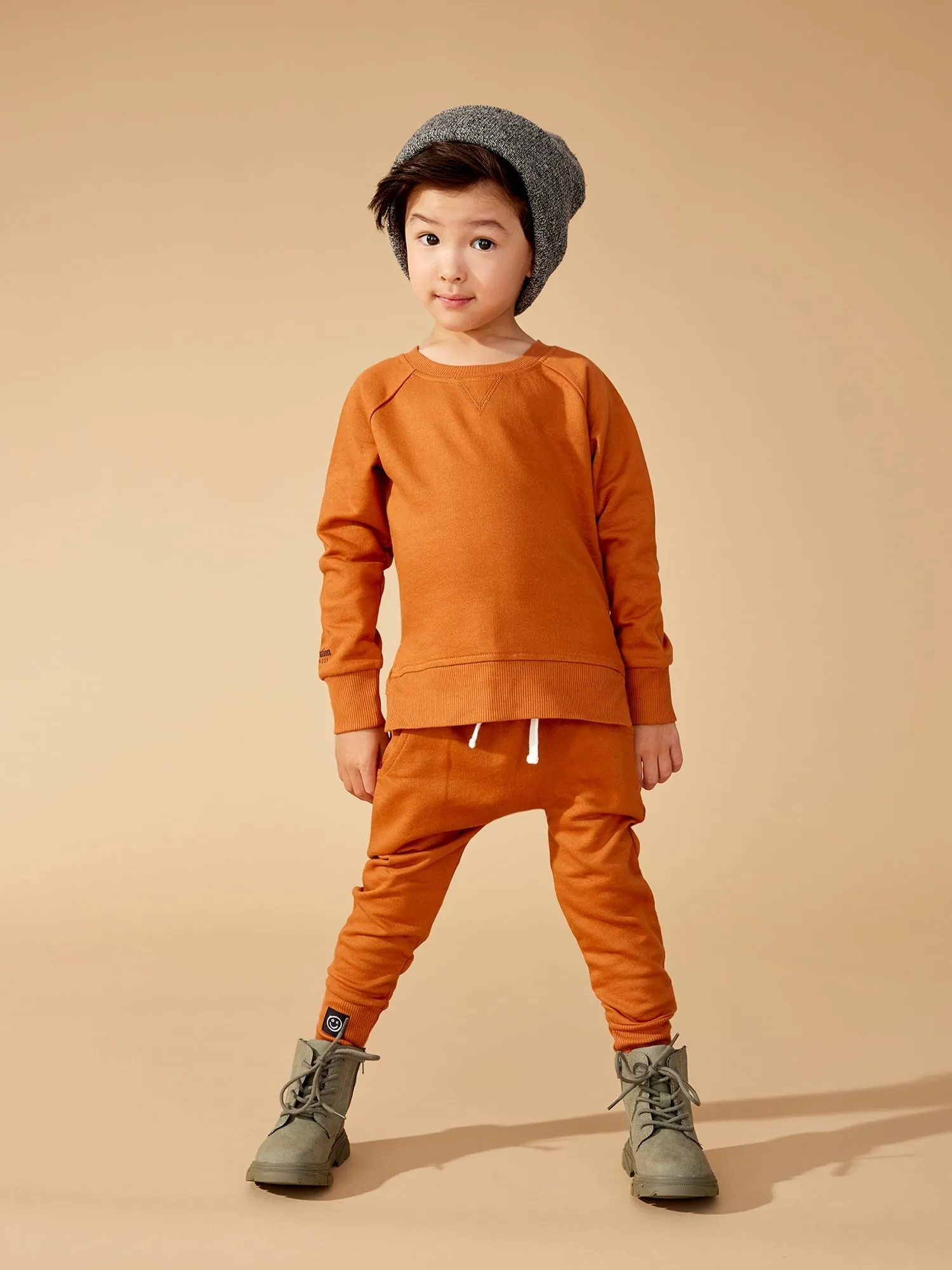 Little Star Organic Toddler Unisex 2Pk Long Sleeve Pull Over Sweatshirt, Size 12M-5T