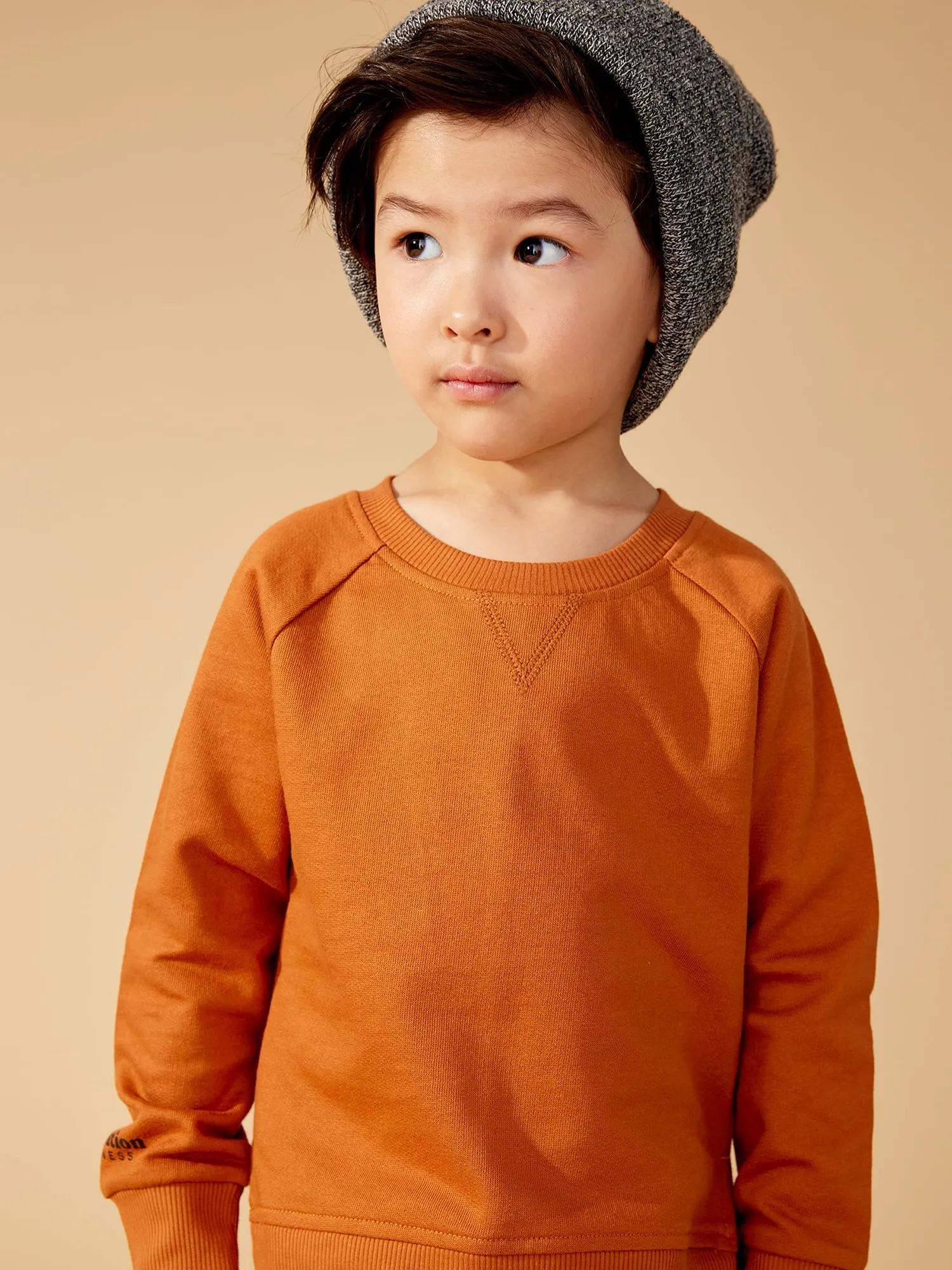 Little Star Organic Toddler Unisex 2Pk Long Sleeve Pull Over Sweatshirt, Size 12M-5T
