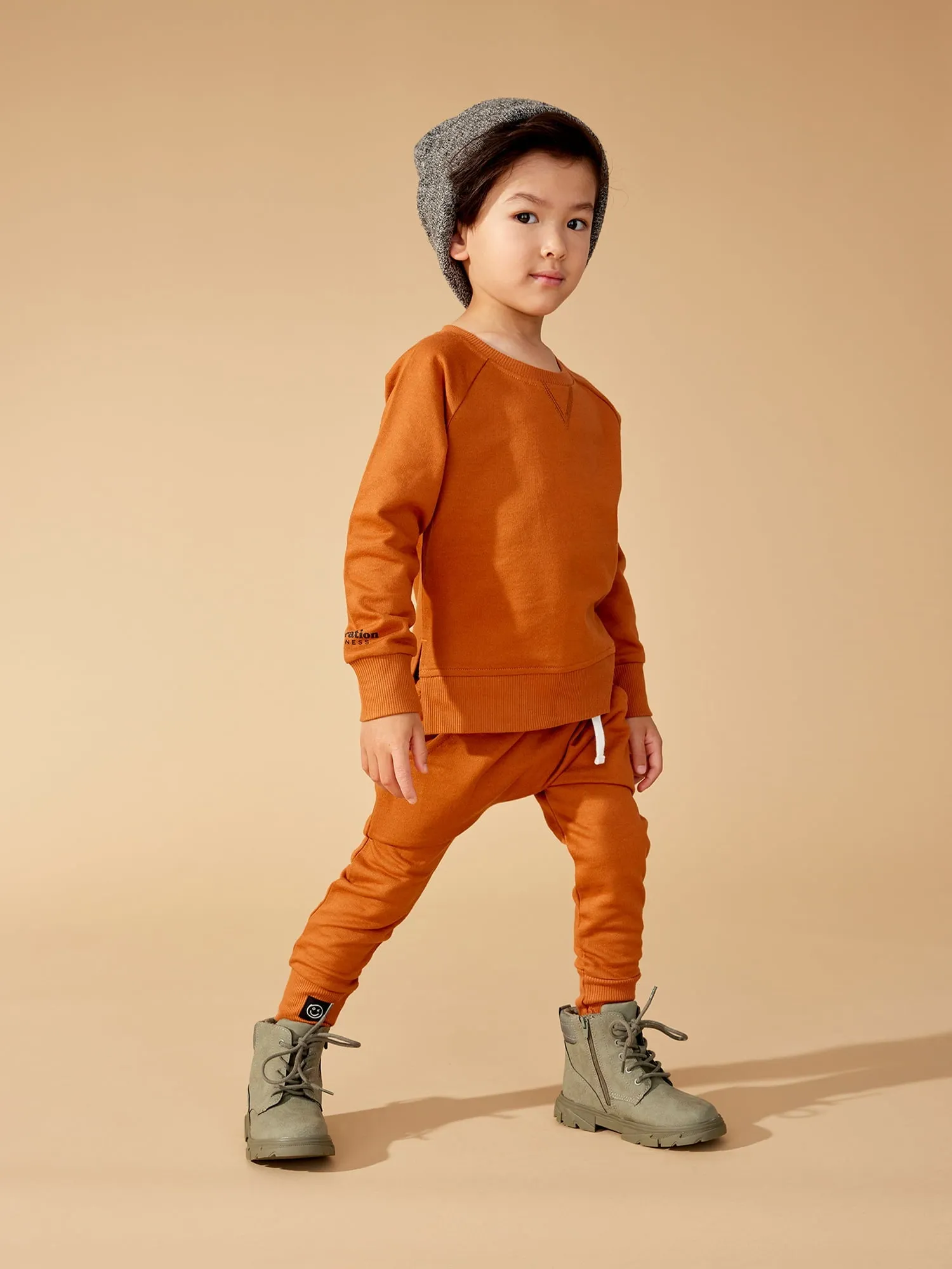 Little Star Organic Toddler Unisex 2Pk Long Sleeve Pull Over Sweatshirt, Size 12M-5T
