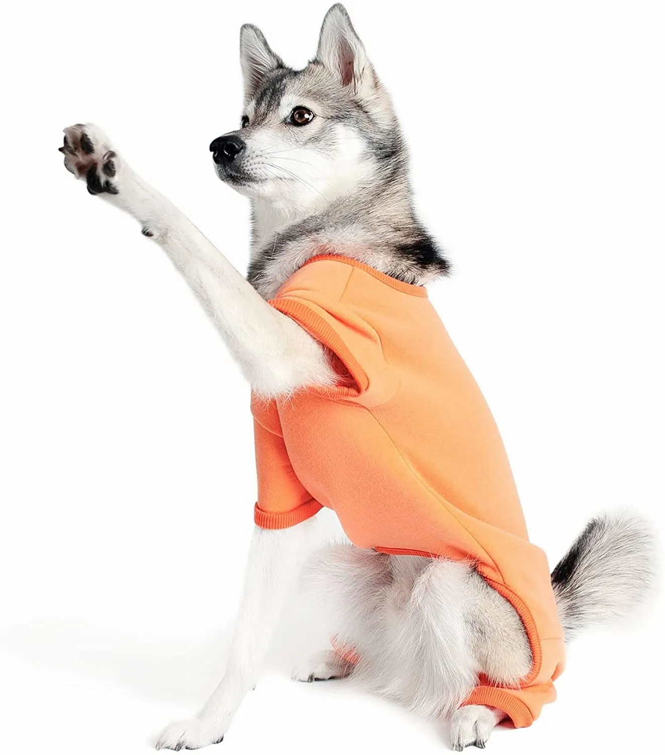 Midlee Coral Dog Pajamas