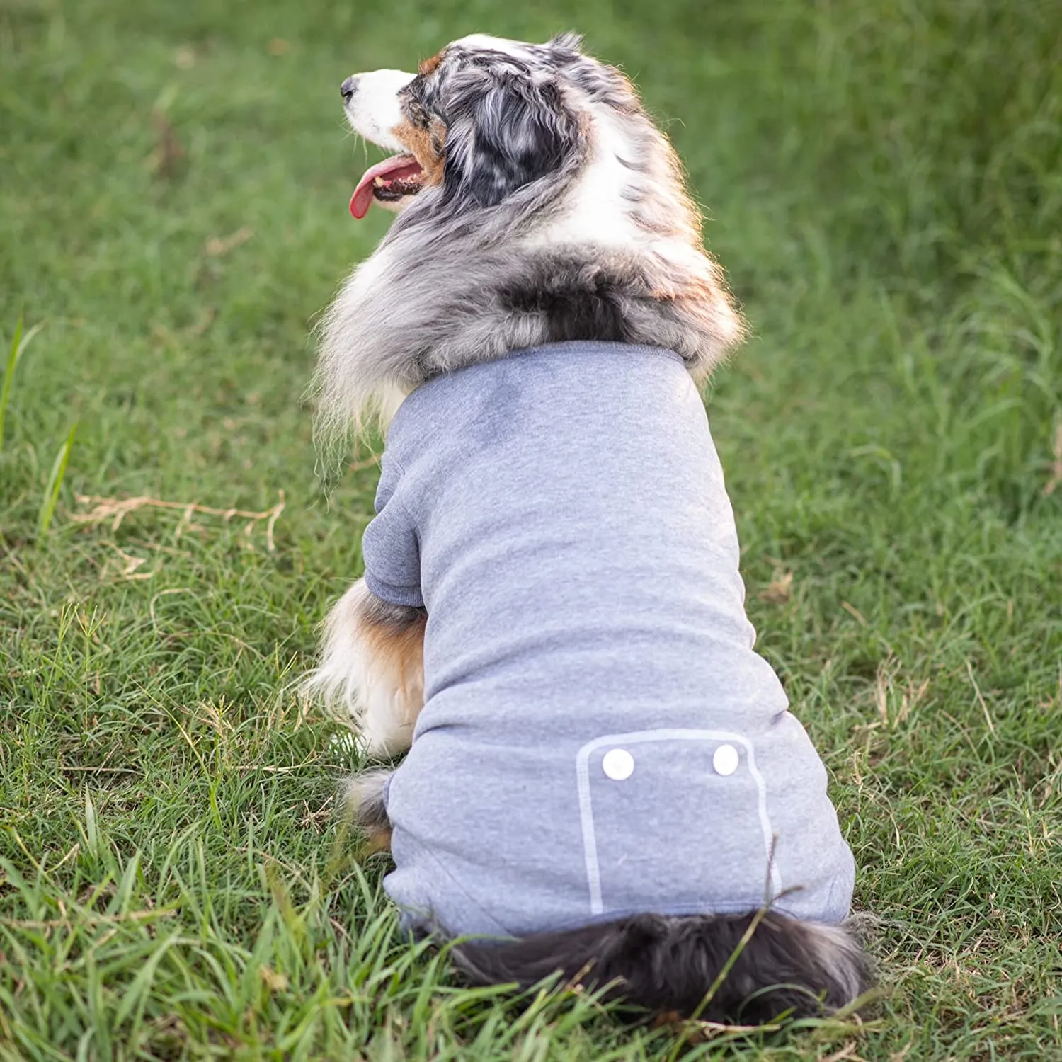 Midlee Coral Dog Pajamas