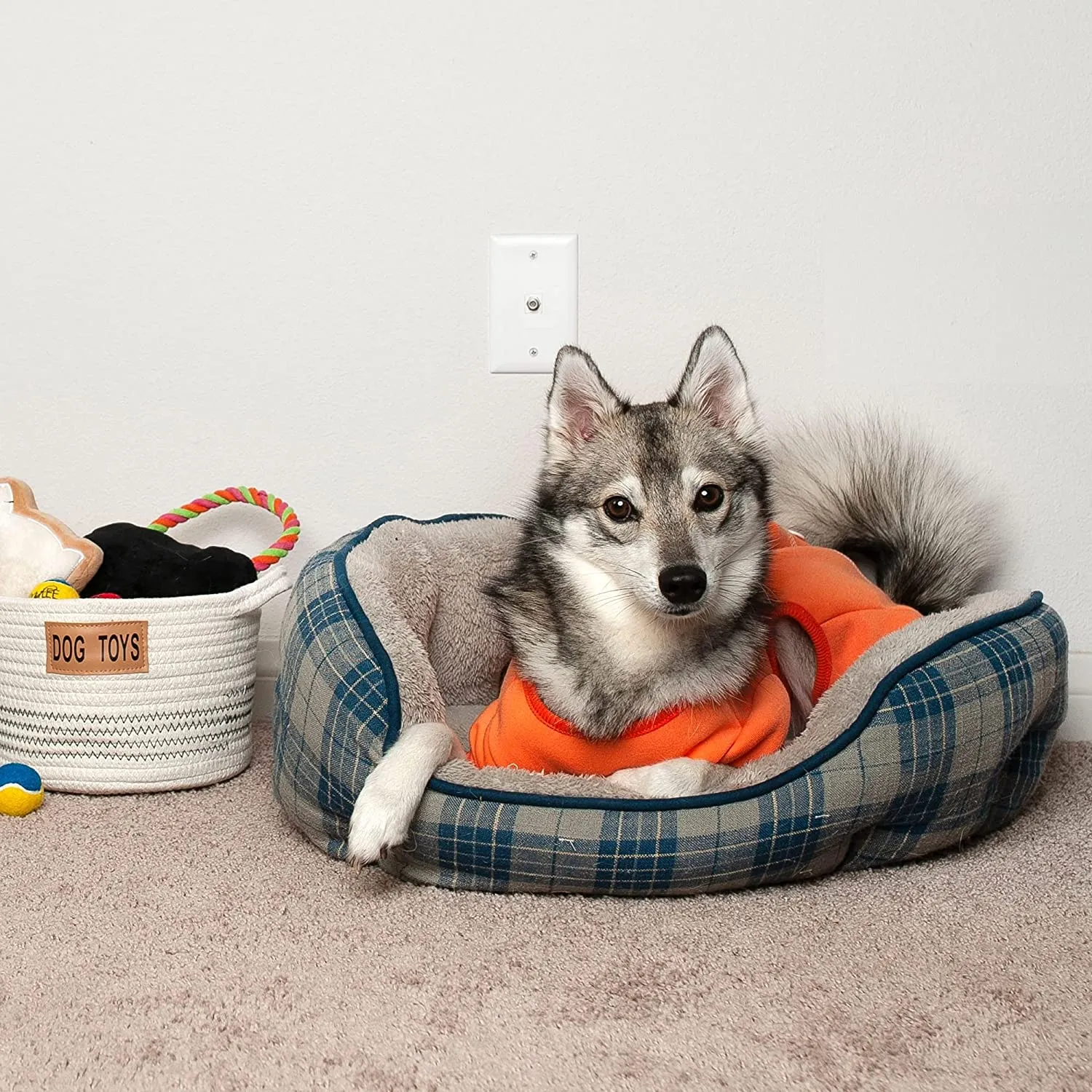 Midlee Coral Dog Pajamas