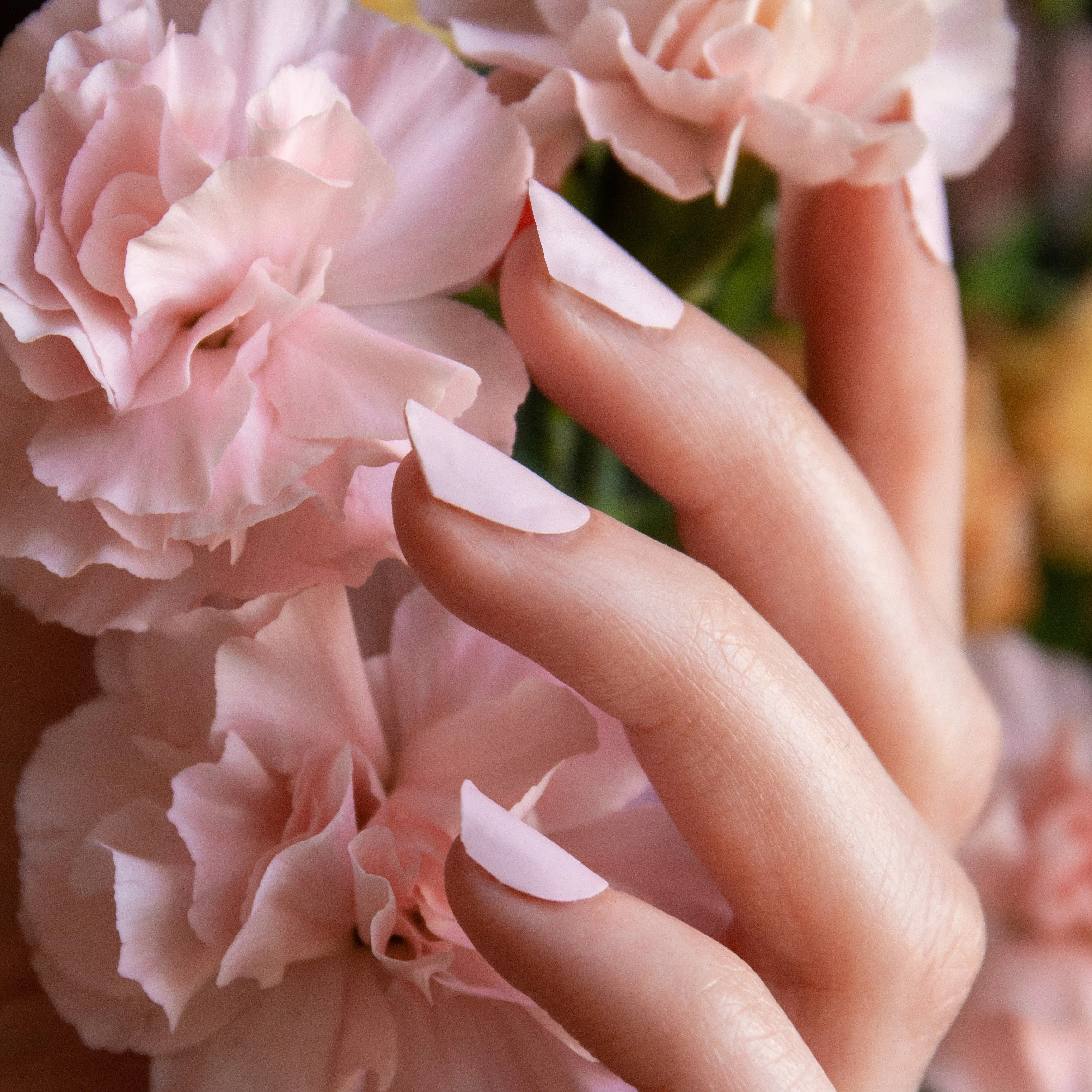 Pale Pink Matte
